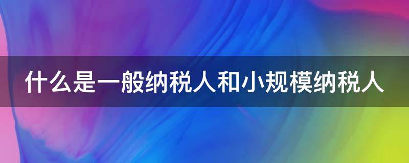 什么是一般纳税人和小规模纳税人（什么是一般纳税人和小规模纳税人印花税）