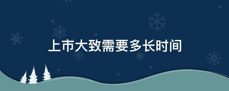 上市大致需要多长时间（上市大概需要多久时间）