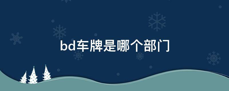 bd车牌是哪个部门 bd车牌是什么职位