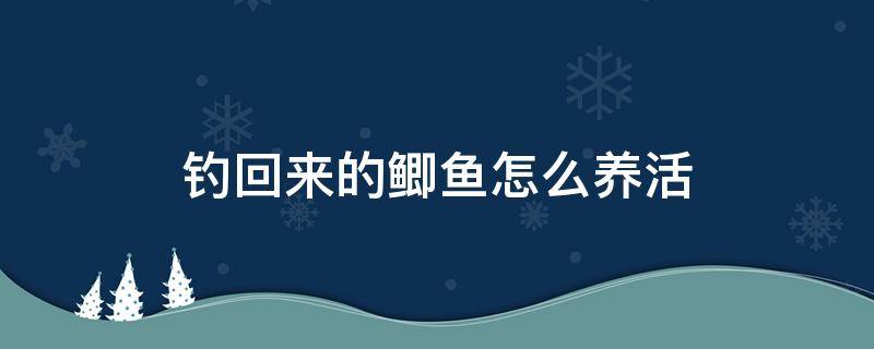 钓回来的鲫鱼怎么养活 刚钓回来的鲫鱼怎么养活