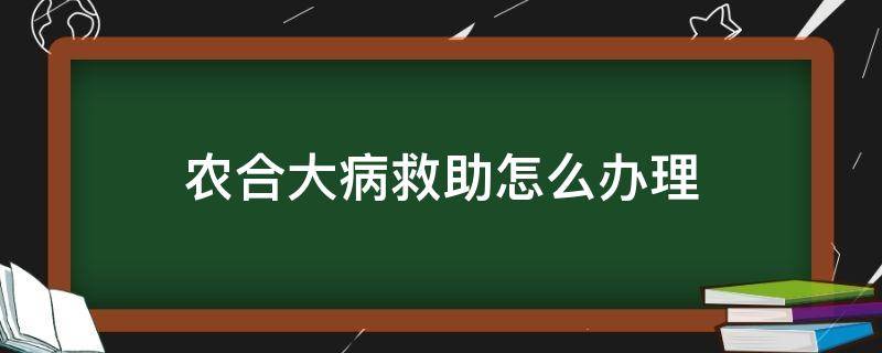 农合大病救助怎么办理（农合大病救助怎么办理2021）