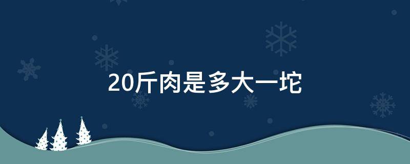 20斤肉是多大一坨（20斤肉是多大一坨图片）