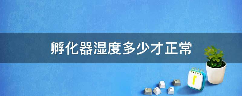 孵化器湿度多少才正常（孵化机湿度多少正常）