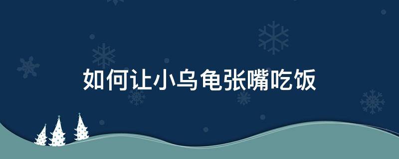 如何让小乌龟张嘴吃饭 怎么让小乌龟张开嘴巴吃东西