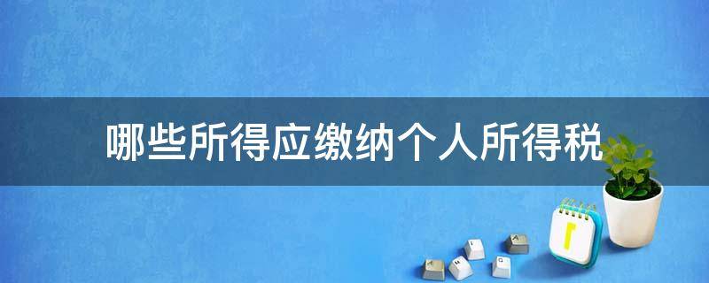 哪些所得应缴纳个人所得税（个人所得应交个人所得税的有哪些）