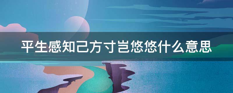 平生感知己方寸岂悠悠什么意思 平生感慨是什么意思