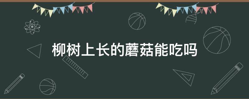 柳树上长的蘑菇能吃吗 柳树上长的蘑菇能吃吗能治病吗