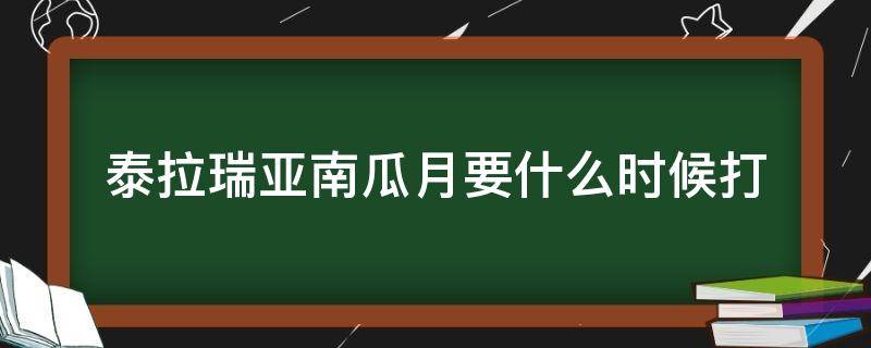 泰拉瑞亚南瓜月要什么时候打（泰拉瑞亚最早几点可以召唤南瓜月）