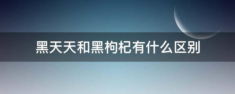 黑天天和黑枸杞有什么区别（黑枸杞子是黑天天吗）