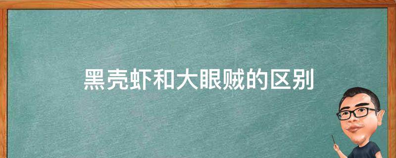 黑壳虾和大眼贼的区别（什么是大眼贼虾）