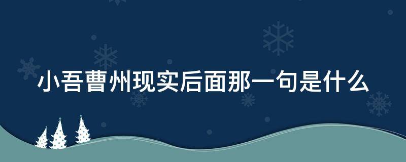 小吾曹州现实后面那一句是什么（些小吾曹州现实什么）