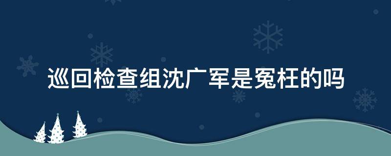 巡回检查组沈广军是冤枉的吗（巡回检查组沈广军案子真相）