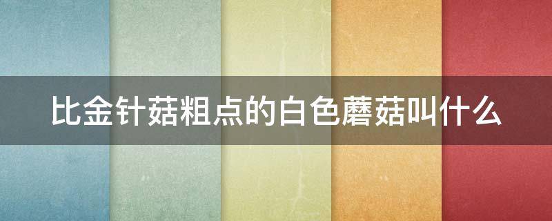 比金针菇粗点的白色蘑菇叫什么 比金针菇粗点的白色蘑菇叫什么怎么吃