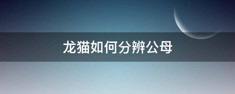 龙猫如何分辨公母（龙猫怎么看公的还是母的）