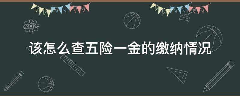 该怎么查五险一金的缴纳情况 怎么查询自己的五险一金缴纳情况