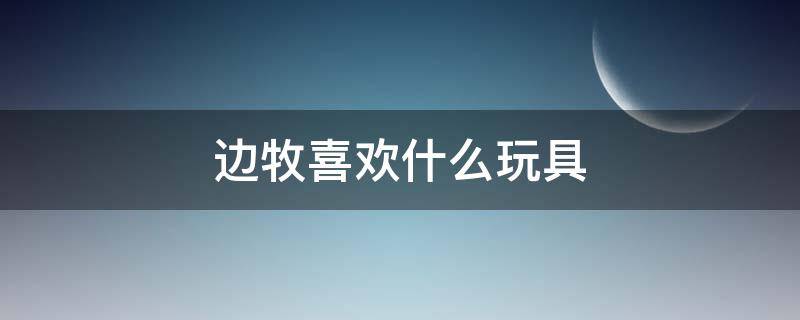 边牧喜欢什么玩具（适合边牧的玩具）