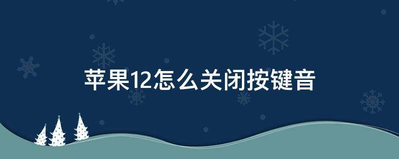 苹果12怎么关闭按键音 苹果12怎么关闭按键音无效