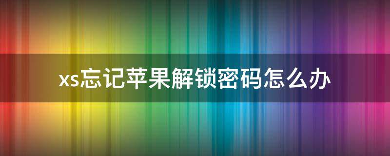 xs忘记苹果解锁密码怎么办（iphonexs密码忘记了怎么办）