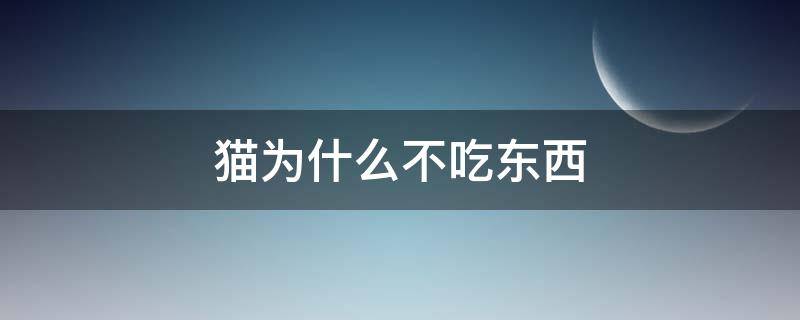 猫为什么不吃东西 怀孕的猫为什么不吃东西