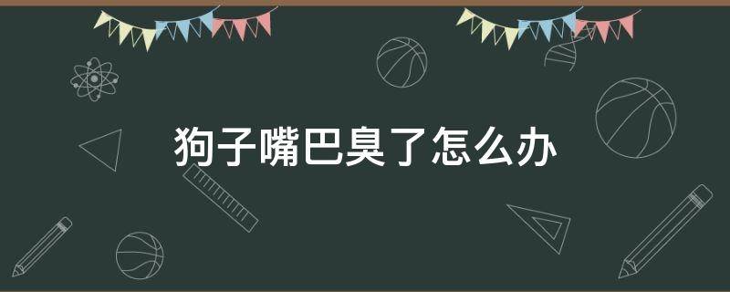 狗子嘴巴臭了怎么办（小狗狗嘴巴臭怎么办）