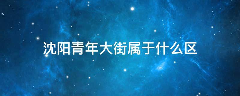 沈阳青年大街属于什么区（沈阳青年大街属于哪个区）