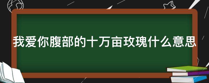 我爱你腹部的十万亩玫瑰什么意思