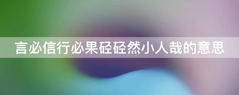 言必信行必果硁硁然小人哉的意思（言必信行必果硁硁然小人矣）