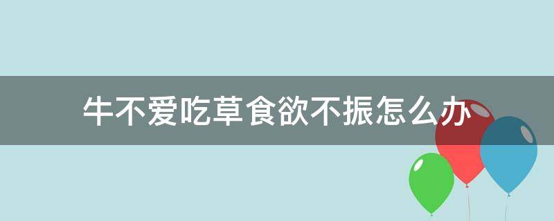 牛不爱吃草食欲不振怎么办（怀孕母牛不爱吃草食欲不振怎么办）