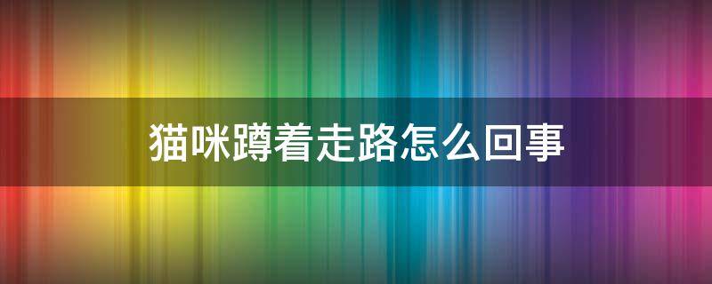 猫咪蹲着走路怎么回事 猫咪后腿蹲着走路是什么原因