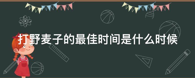 打野麦子的最佳时间是什么时候（打野麦子的最佳时间是什么时候开始的）