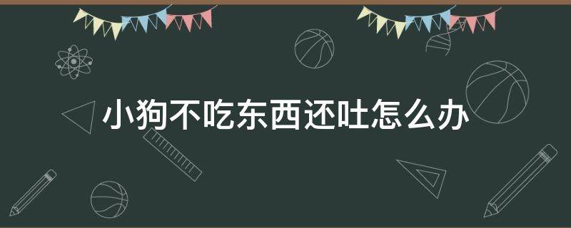 小狗不吃东西还吐怎么办（小狗不吃东西还吐怎么办鼻子干）