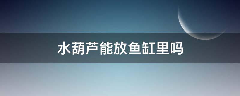 水葫芦能放鱼缸里吗 水葫芦可以放在鱼缸里吗