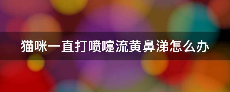 猫咪一直打喷嚏流黄鼻涕怎么办（猫咪一直打喷嚏流黄鼻涕怎么办啊）