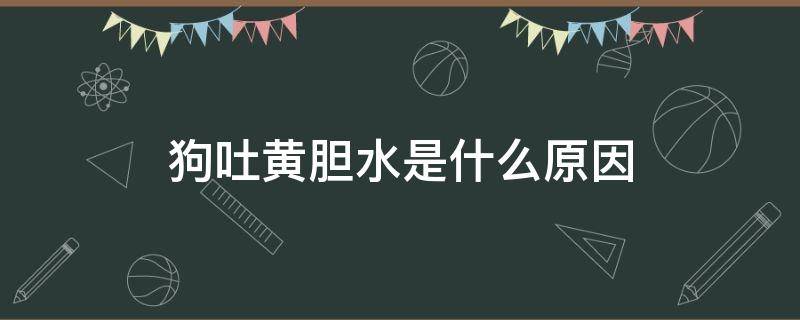 狗吐黄胆水是什么原因（狗狗吐黄水是胆汁吗）