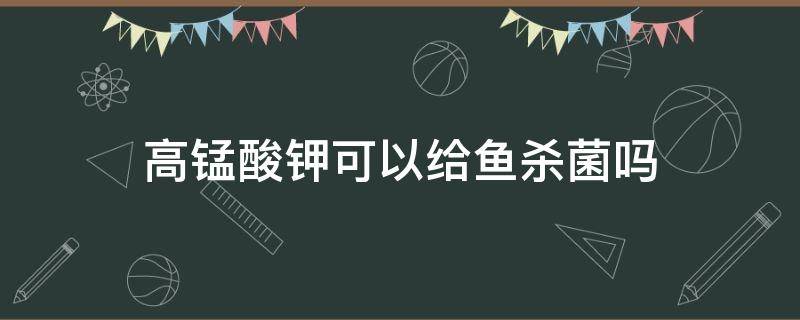 高锰酸钾可以给鱼杀菌吗 高锰酸钾可以直接给鱼消毒吗