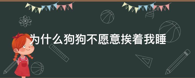 为什么狗狗不愿意挨着我睡 狗狗不喜欢挨着我睡