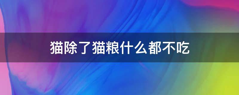 猫除了猫粮什么都不吃 猫除了猫粮什么都不吃,太瘦怎么办