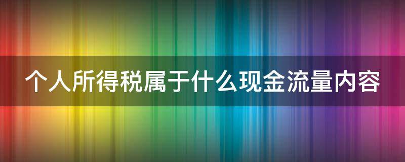 个人所得税属于什么现金流量内容（个人所得税属于什么现金流量内容类型）