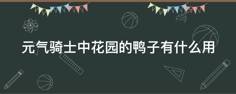 元气骑士中花园的鸭子有什么用（元气骑士花园里的宠物怎么获得）