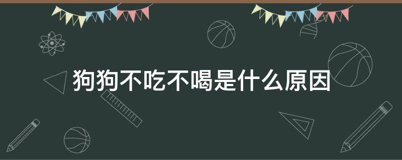 狗狗不吃不喝是什么原因 狗狗不吃不喝是什么原因?