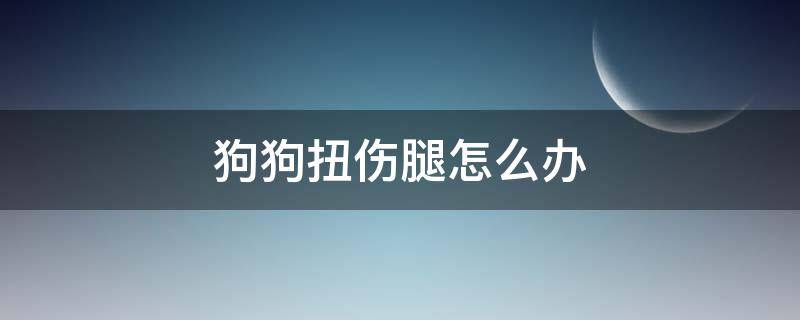 狗狗扭伤腿怎么办 狗狗腿扭了怎么办