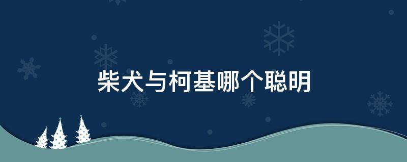 柴犬与柯基哪个聪明 柯基好还是柴犬