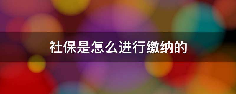 社保是怎么进行缴纳的（如何进行社保缴纳）