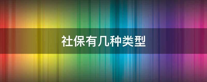 社保有几种类型 广州社保有几种类型