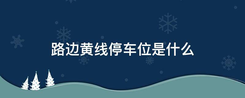 路边黄线停车位是什么（路边停车位有黄线）