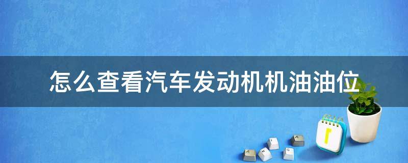 怎么查看汽车发动机机油油位（怎样检测发动机机油油位）