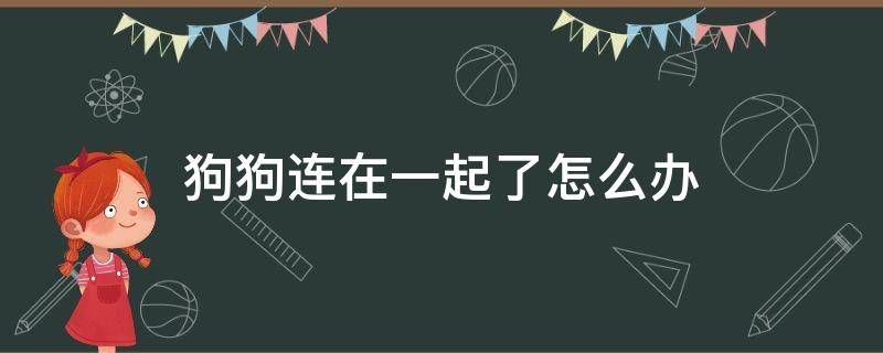 狗狗连在一起了怎么办 狗狗连在一起是怎么回事