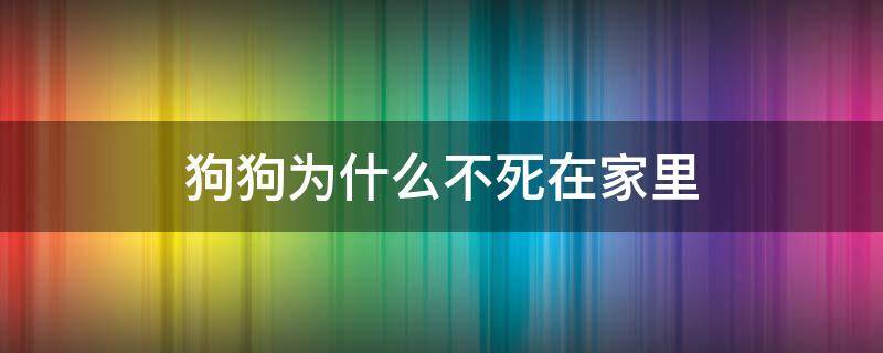 狗狗为什么不死在家里（狗狗为什么不死在自己家里）