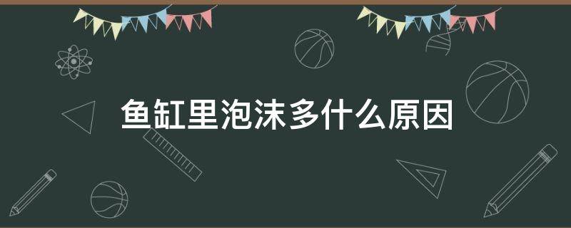 鱼缸里泡沫多什么原因 鱼缸里的水泡沫多