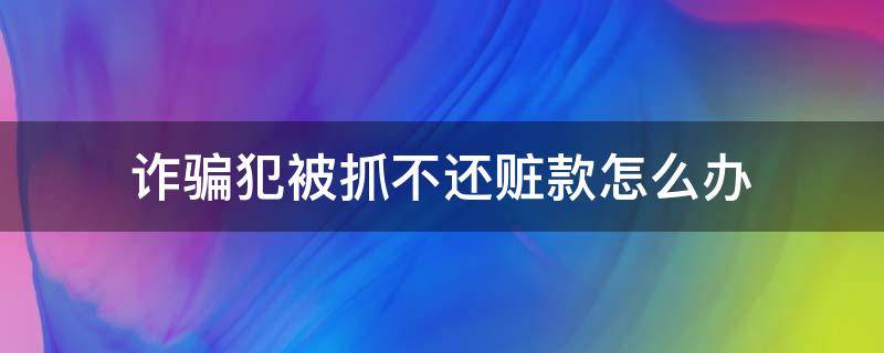 诈骗犯被抓不还赃款怎么办（警察抓住诈骗犯,赃款怎么处理）